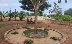 foto_campus_06.jpeg