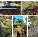 GEINFRA Inicia Projeto Piloto de Criação de Espaços de Convivência e Paisagismo de Baixo Custo