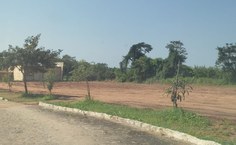 WhatsApp ImageGominho_ 2023-09-16 at 14.02.08.jpeg